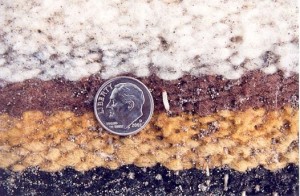 Moth Protection for Wool Rugs