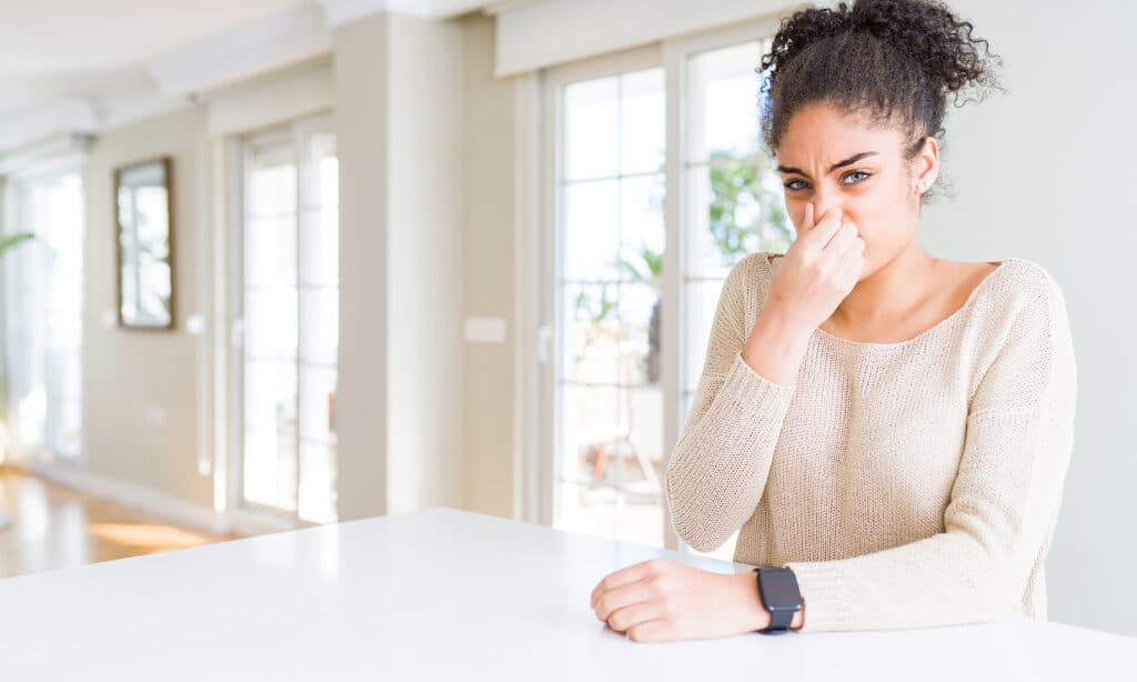 Top 3 Signs Your Rug May Need Professional Deodorization